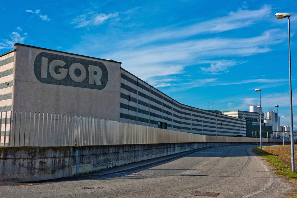 igor