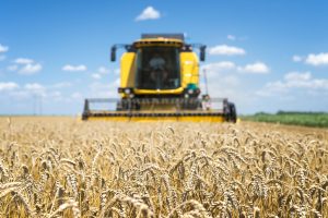 Crea agroalimentare