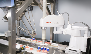 FANUC SR-12iA-C