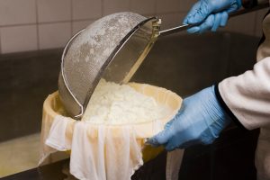Lactalis caseario 2025