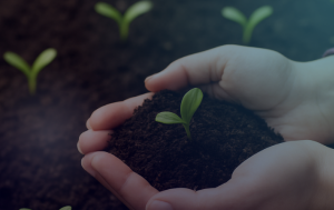 FoodSeed