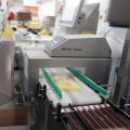 Mettler Toledo
